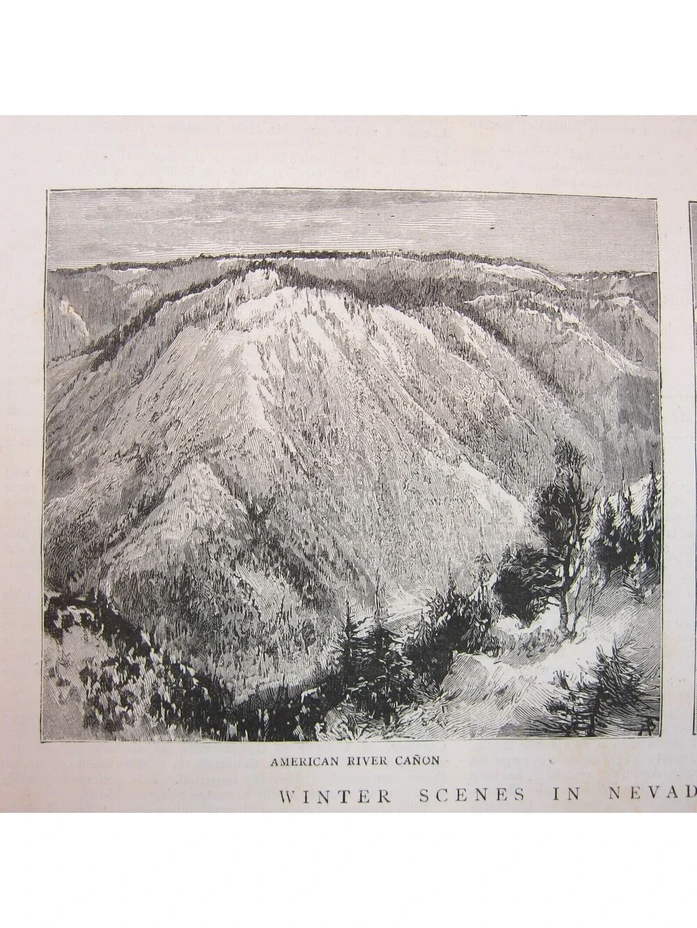 Antique 1885 Print 